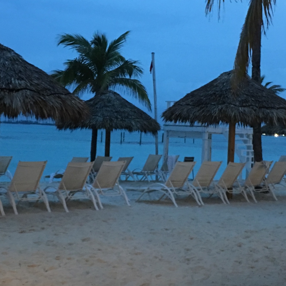 Meet your Posher, Sharon